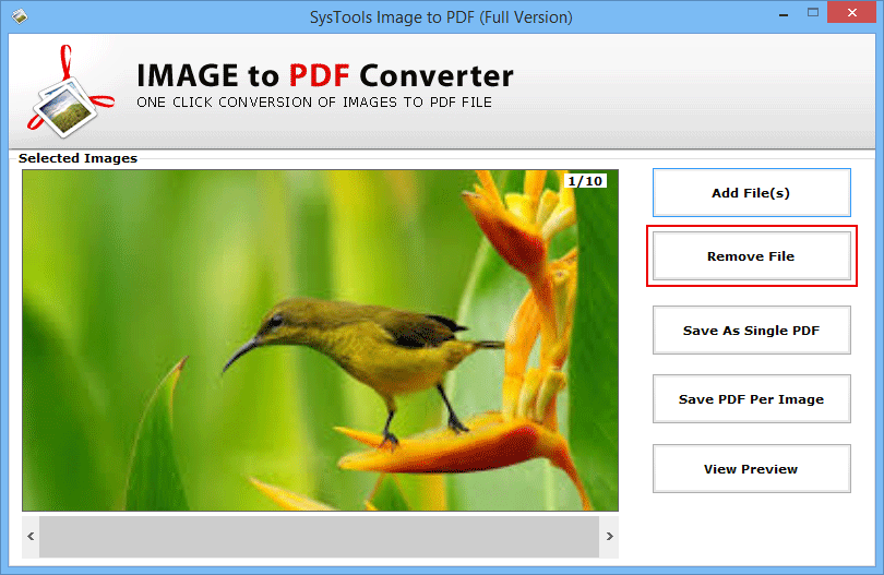 Remove Unwanted Images and Convert Other Image to PDF